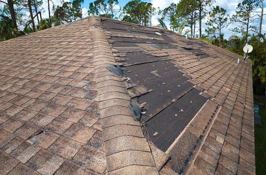 What Is The Typical Cost Of A Roof Replacement In Waltham?