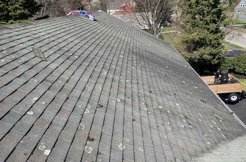 How Much Does a Roof Repair Cost in Waltham?