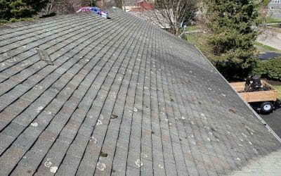 How Much Does a Roof Repair Cost in Waltham?
