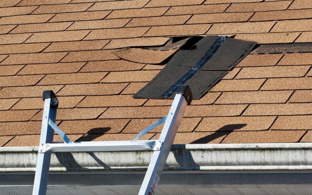 Spring Cleaning: 5 Tips to Prepare Your Roof for Spring Weather in Waltham